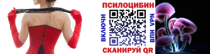 Купить  Пущино  Псилоцибиновые грибы ЛСД 